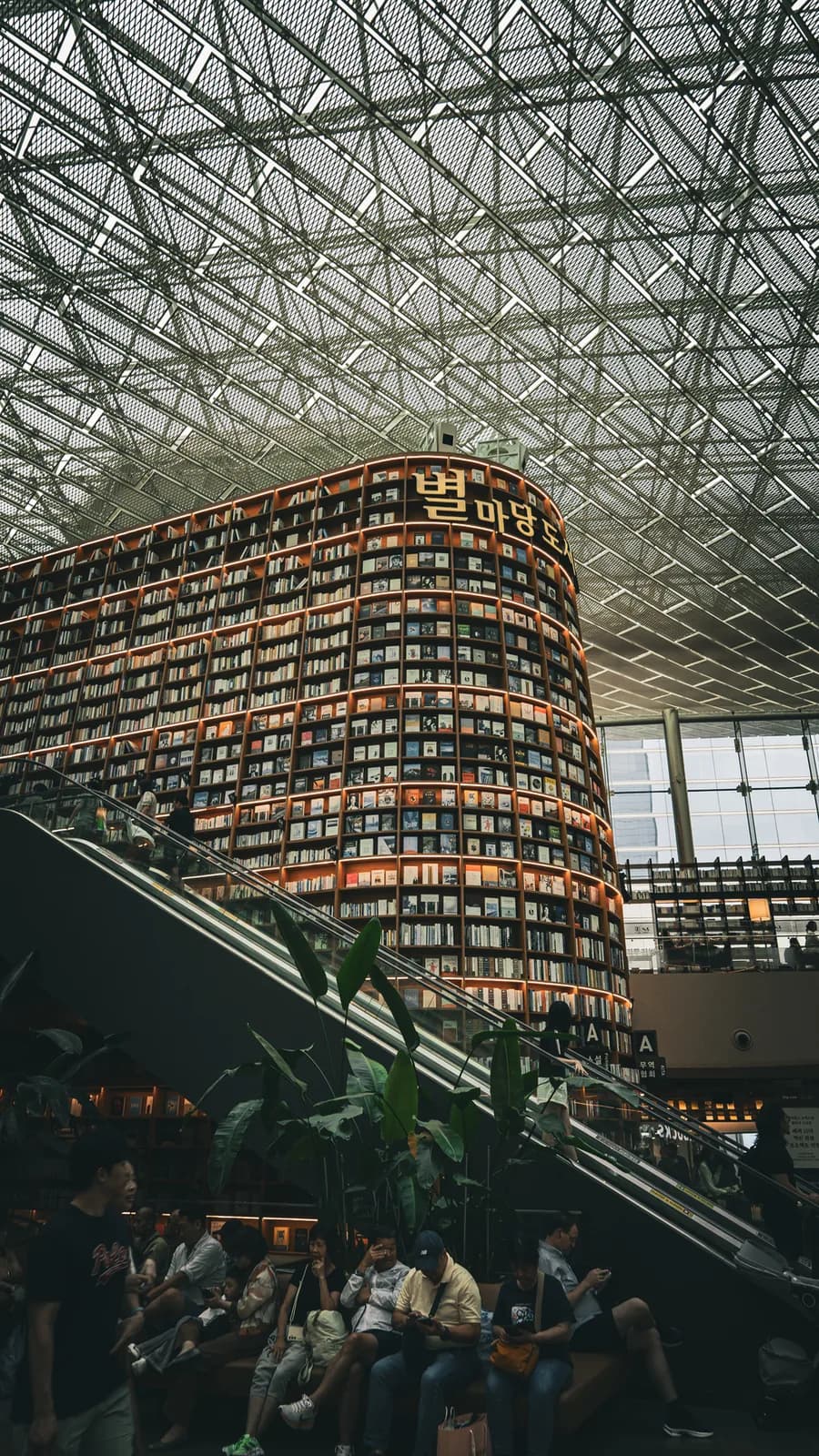Un’alta libreria curva illuminata sotto una grande copertura vetrata