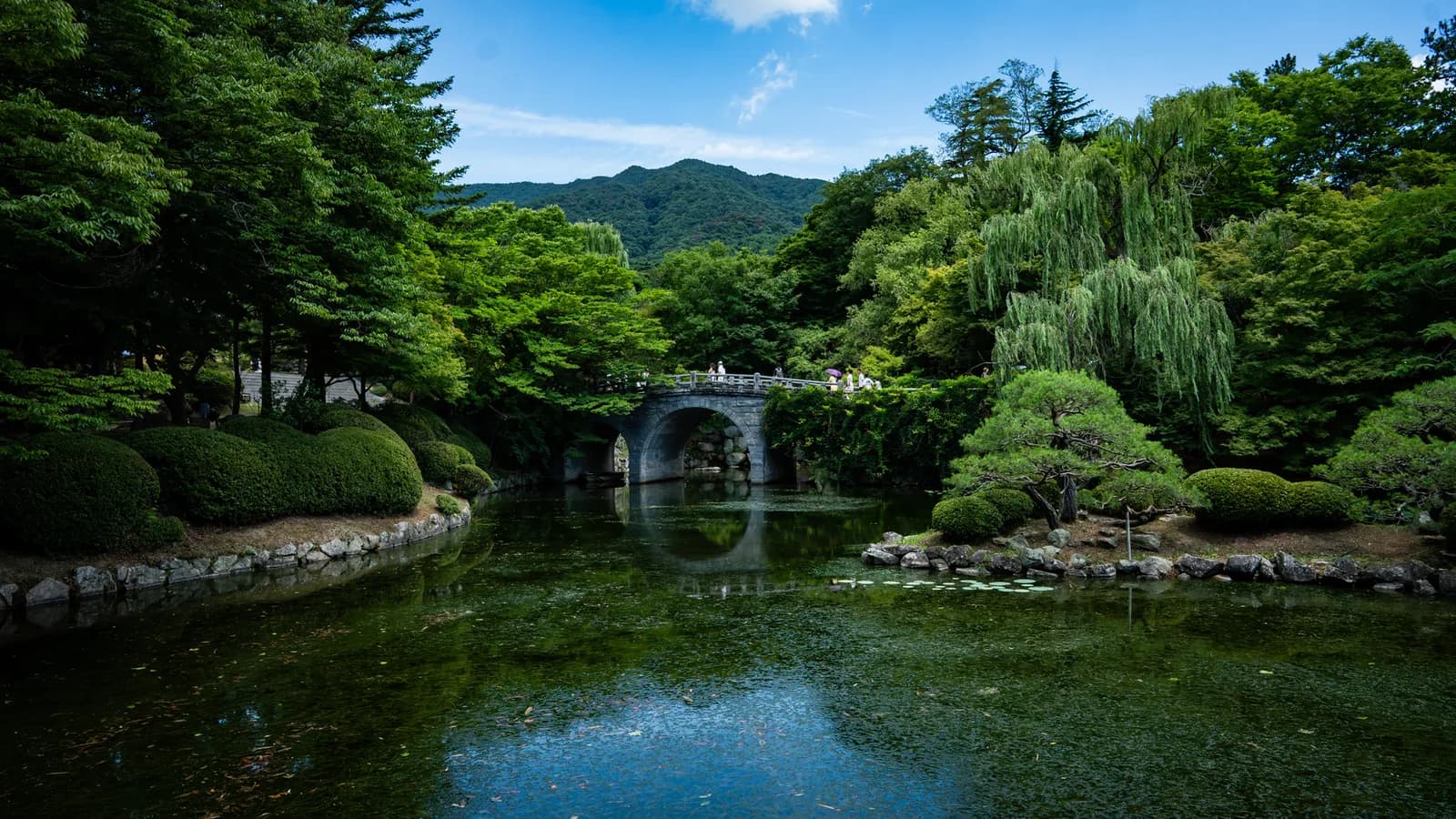 Un ponte in pietra si riflette in uno stagno circondato da alberi e cespugli