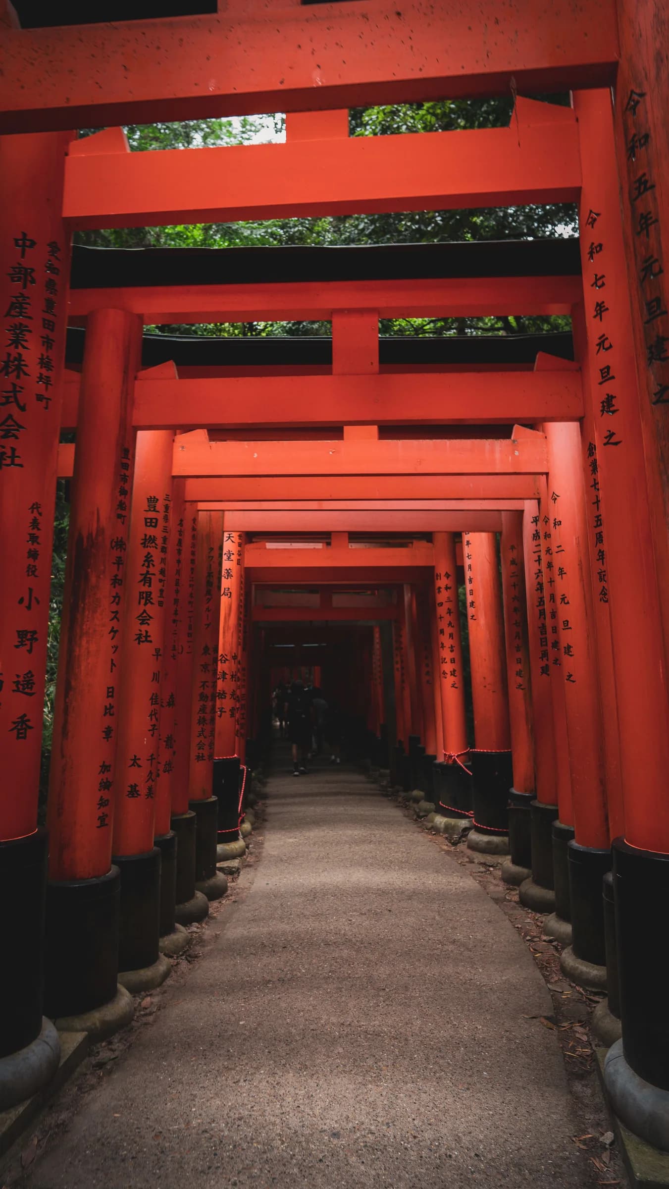 A succession of red torii gates forming a corridor along a path