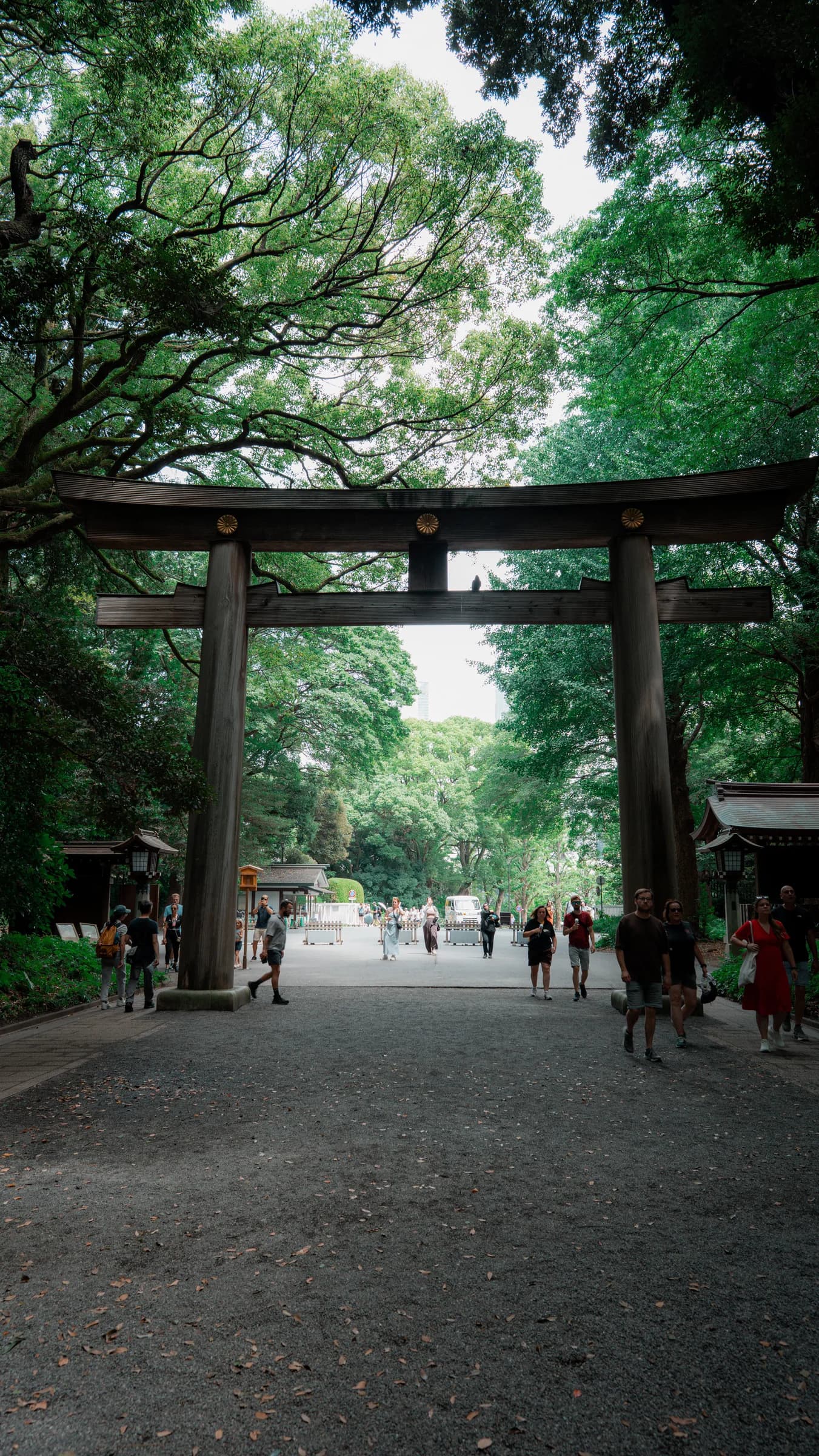 A large wooden torii gate framed by green tree canopies